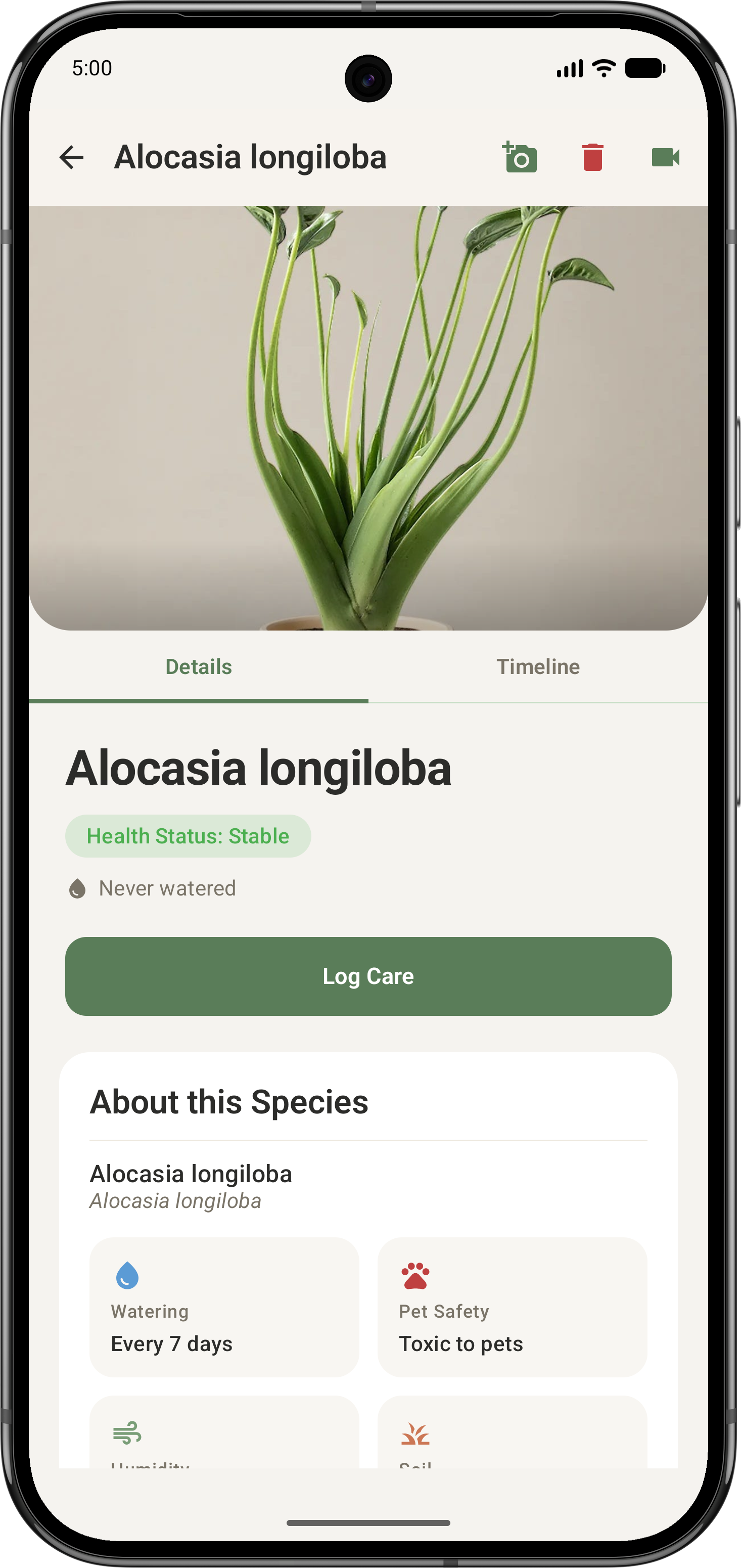Leafy AI conversation helping diagnose a plant issue